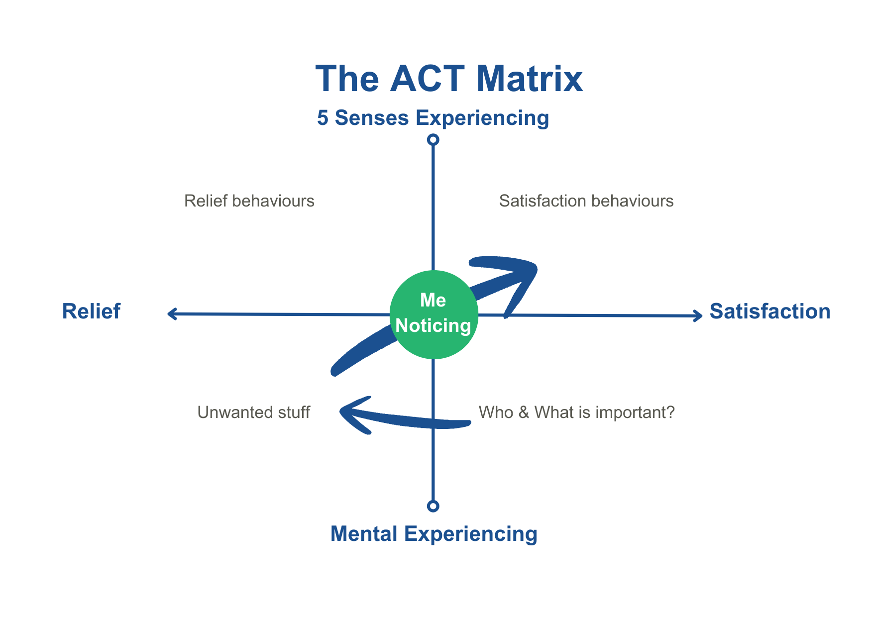 ACT Matrix diagram, the individual framework behind the ProSocial Matrix